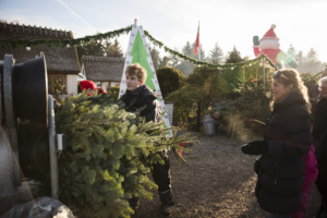 Mosegaarden_Juletræer_028